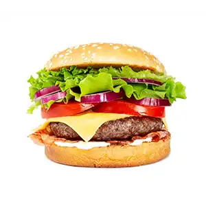 Franchise-Kemitraan-Ranisafriedchicken-burger